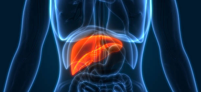 Clinical Reference Papers on Hyperthermia. Randomized Clinical Hyperthermia Studies 30 years of evidence makes it clear that Thermal Therapy Works.